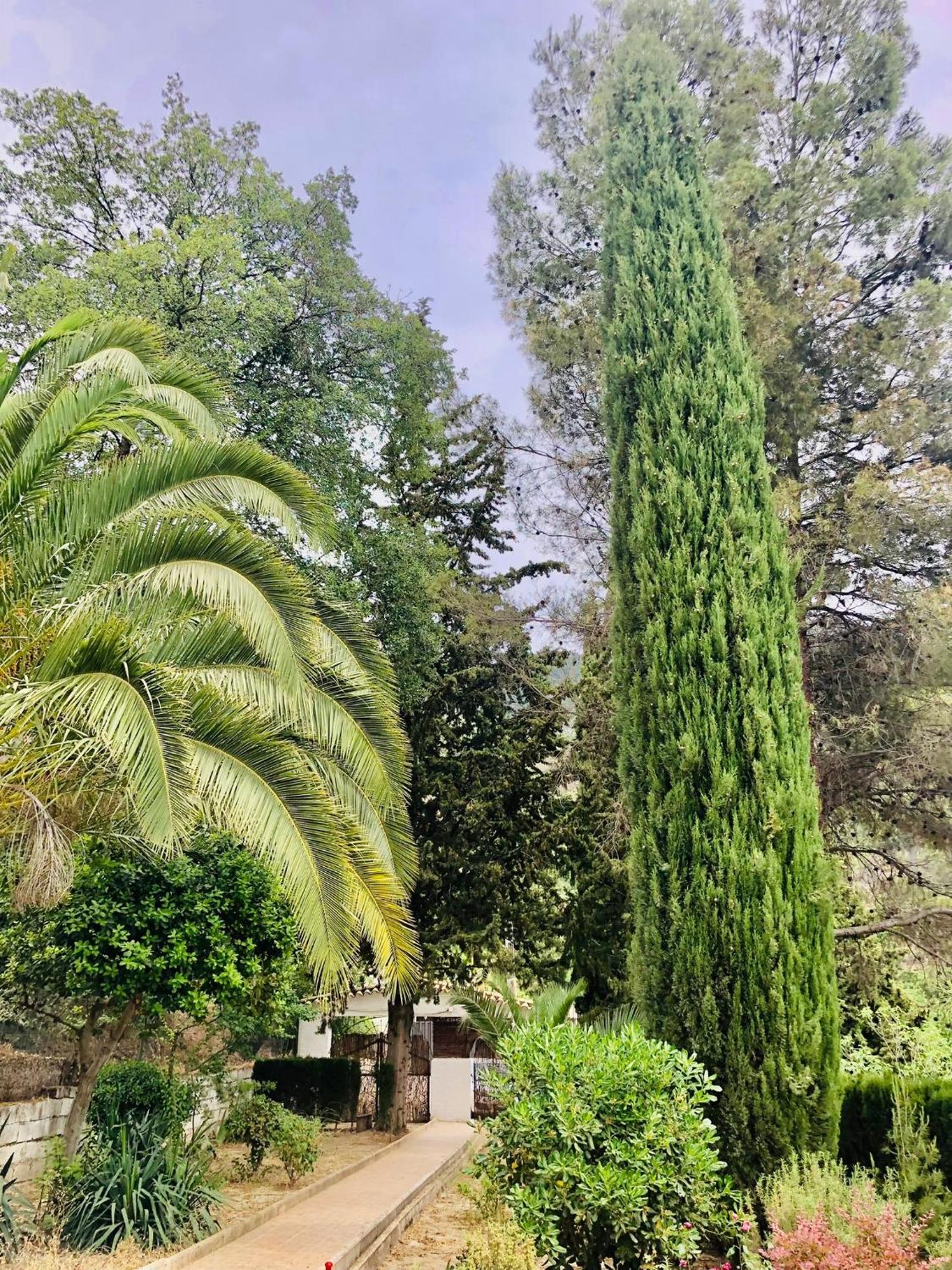 Nueva Cazorla Mirador Cerro Del Escribano Vila La Iruela Exterior foto